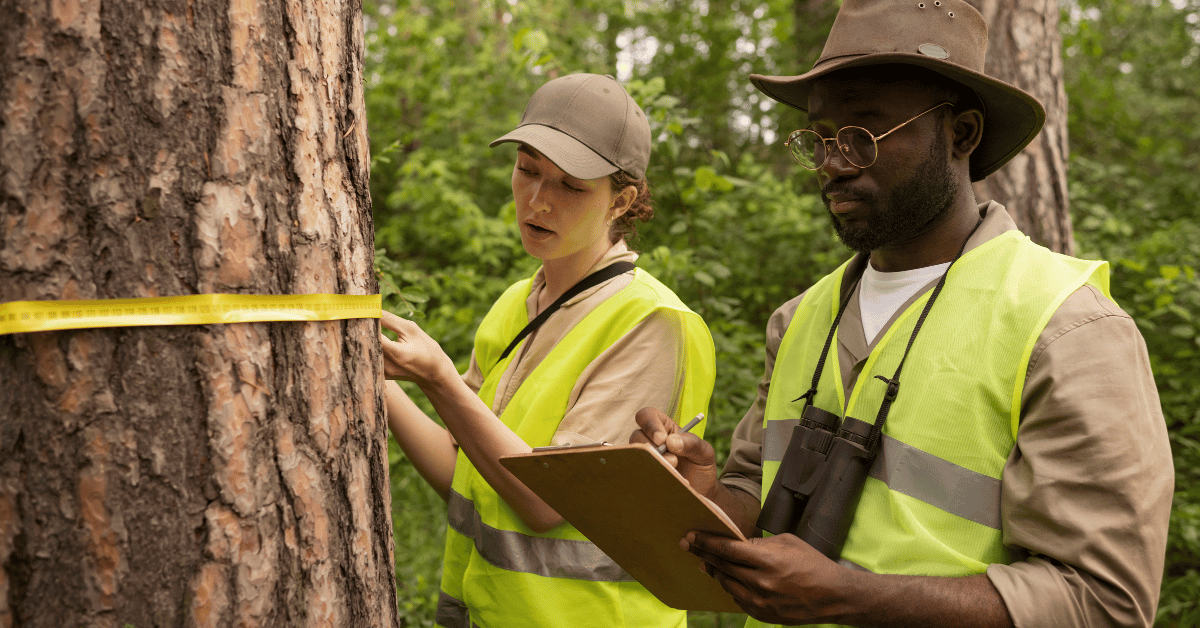 forestry development authority